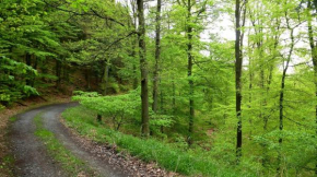 Oberkirchen